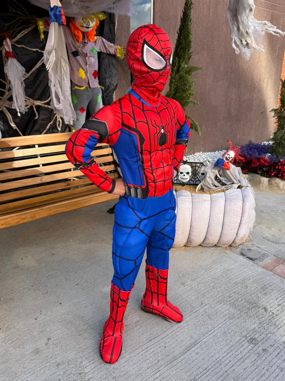 Disfraz Spiderman Clasico de Regreso a Casa
