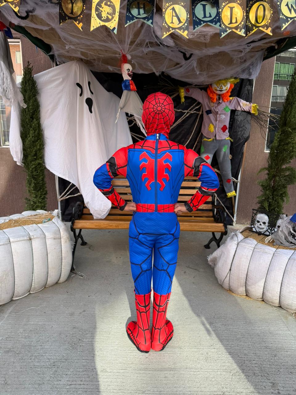 Disfraz Spiderman Clasico de Regreso a Casa