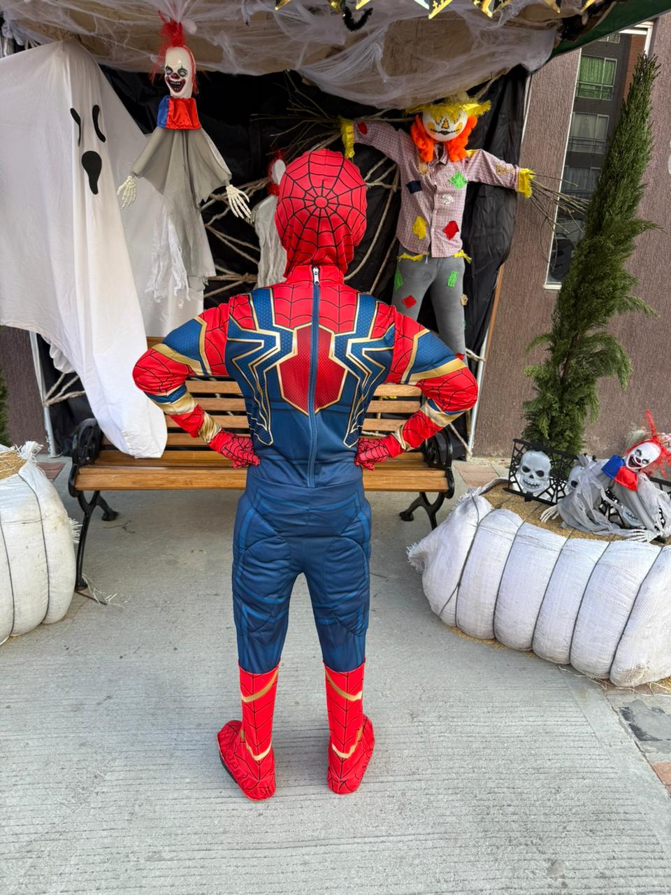 Disfraz Spiderman Iron Spider