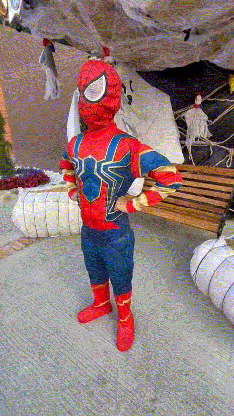 Disfraz Spiderman Iron Spider