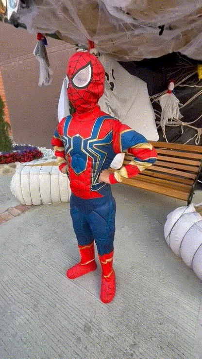Disfraz Spiderman Iron Spider